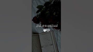 اصحاب القران الكريم #اكسبلور #duet #الرحمن