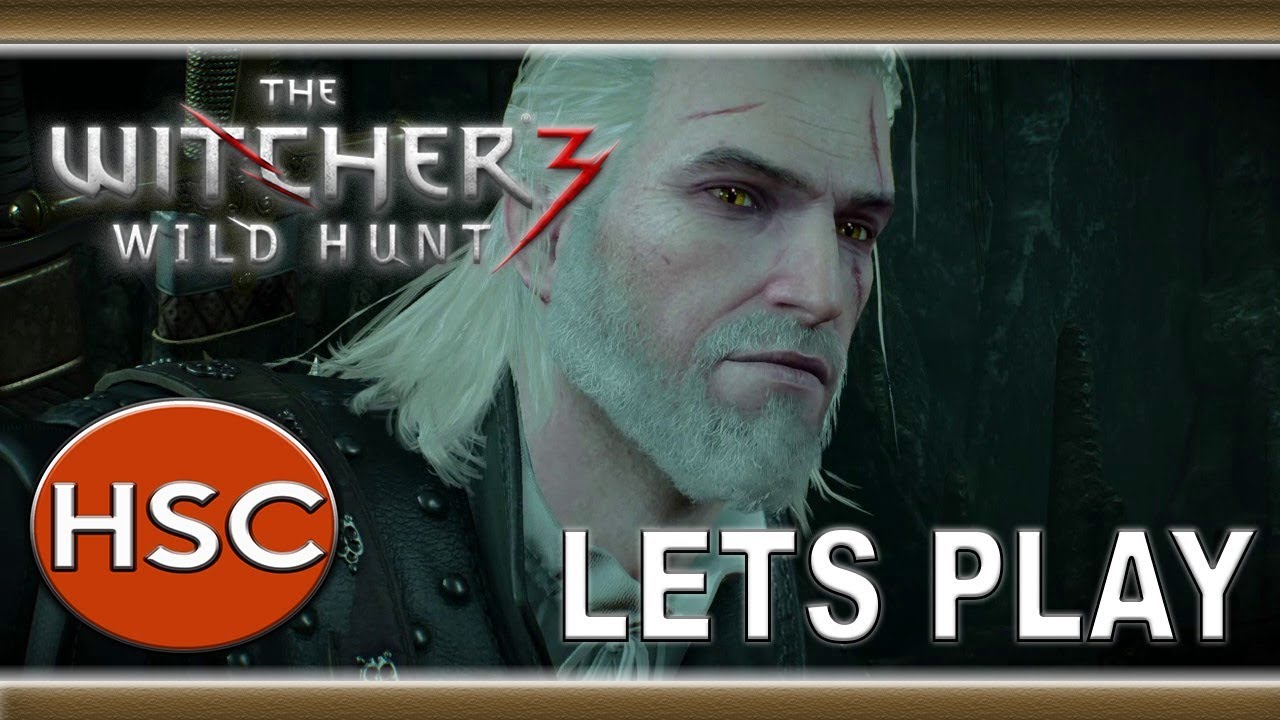 The Witcher 3 Wild Hunt Continue In Wolf's Clothing