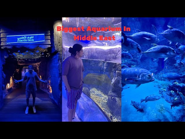 Biggest Aquarium In Middle East | National Aquarium Abu dhabi |