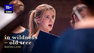 David Lang: in wildness - old tree (6) // DR Pigekoret (LIVE)