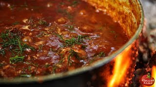 Epic Forest Cooking: The Best Buffalo Goulash!