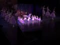 Southern ballet theatre the nutcracker waltz of the flowers part 2