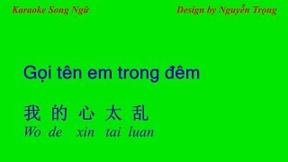 Karaoke Song Ngữ - Gọi tên em trong đêm - 我的心太乱 (D Min)