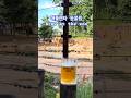 애틀랜타 동물원 Brew at the zoo 이벤트