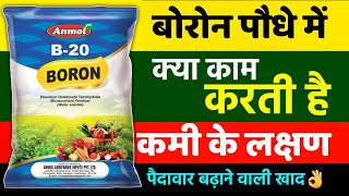What does boron do to plants? Deficiency symptoms. Benefits of boron. Boron fertilizer doubles yields.