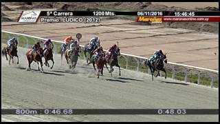 Vidéo de la course PMU LUDICO