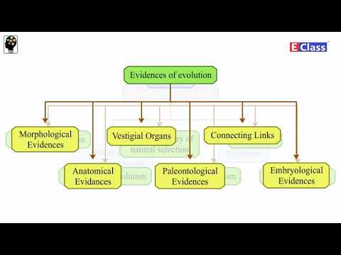 Standard 10, Subject Science, chp 01 (Heredity and Evolution) Mind Map ...