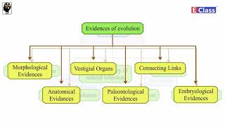 Standard 10, Subject Science, chp 01 (Heredity and Evolution) Mind Map