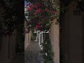 علموني فيروز 