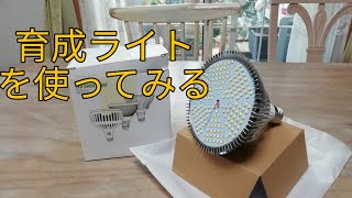 シンジア育成ライト（120w）を　多肉植物に使ってみる