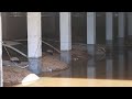 Flooded parkings uprooted trees after storm gabrielle hit ibiza