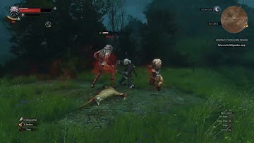 Who Needs Diablo IV? (Advanced Next-Gen Camera+Friendly Meditation+Random Encounters Reworked)