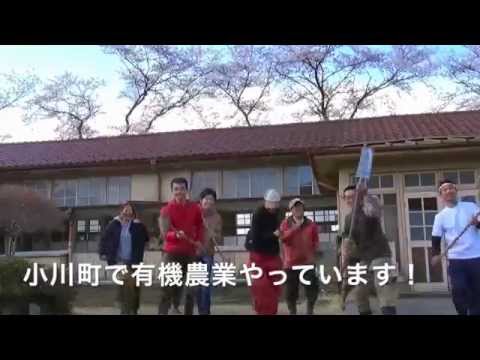 恋するフォーチュンクッキー 埼玉県の農業はあの日の大雪に負けない！ Ver. / AKB48[公式]