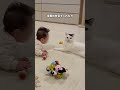 長男の成長をずっと見てきた猫