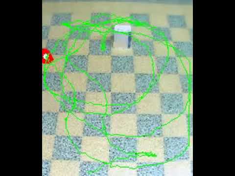 Computer Vision Part of project "Object Tracking Using IMM filter from scratch"