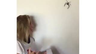 Как поймать паука