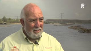 Download Lagu Zalm in het Oostvoornse Meer MP3