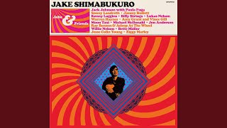 Video thumbnail of "Jake Shimabukuro - Find Yourself"