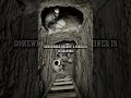 Trapped Inside a Collapsing Mine #darkhistory #survival #history #mining #dilemma