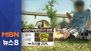 올해 첫 야생진드기 SFTS 사망자 발생…치사율 20%