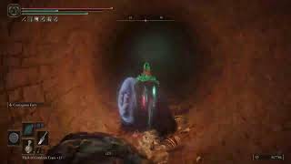 #Elden Ring|Shawdo of The Erdtree NG+2