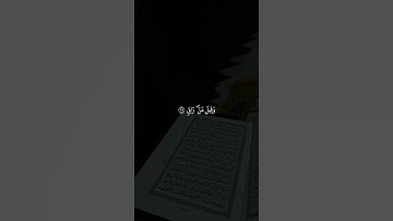 تلاوة خاشعة جميلة بصوت#احمد_النفيس  أرح سمعك#احمد_النفيس #القرآن_الكريم#أرح_سمعك