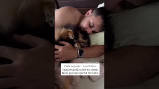 Spitz Alemão - Lulu da Pomerânia, boo fofo demais! Canil Romerania