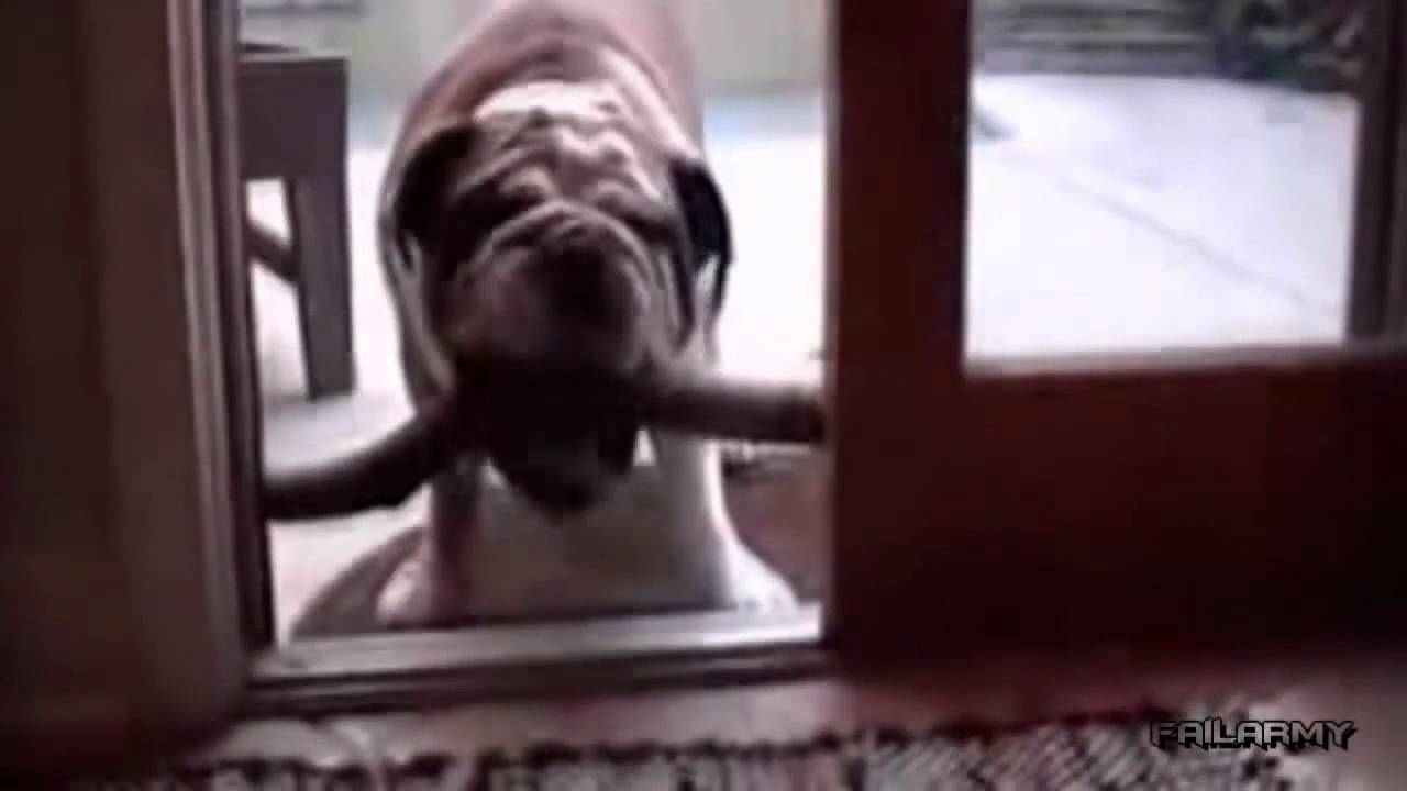 FAIL Compilation January 2012 - Week 1