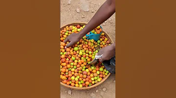 Дикие фрукты в Африке Замбии 🇿🇲 #африка #travel