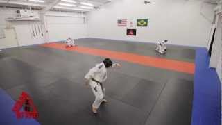 Harlem Shake (BJJ VERSION) **ORIGINAL**