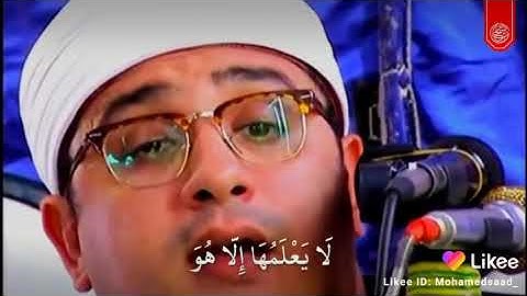 قرآن كريم بصوت القارئ-   محمود الشحات ❤  أجمل حالات واتس اب دينيه❤️😴تلاوة خاشعة 😴