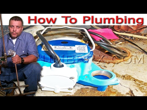 sump-pump--don-t-call-the-plum