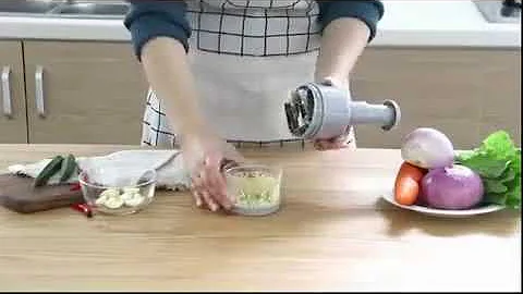 Manual Pressing Vegetable Chopper Slicer Twist Dicer Spice pepper Onion Garlic Chopper
