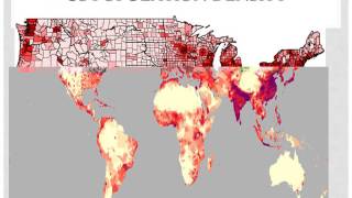 PP2 Spatial Analysis 2