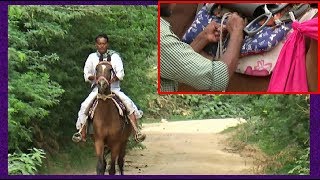 Marwari Mare For Sale : घोड़े को काठी ऐसे चढ़ायें : How to Saddle the Horse Marwari Mare For Sale : घोड़े को काठी ऐसे चढ़ायें : How to Saddle the Horse
