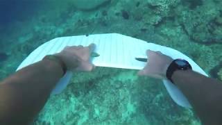 Manta board (at KUBU GANESH Guesthouse)  1minute