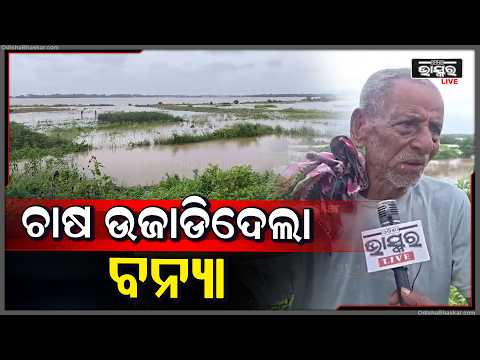 ଦେବୀ ନଦୀ ବନ୍ୟାରେ ଭାସିଗଲା ପନିପରିବା ଚାଷ,ବନ୍ୟାପାଣିକୁ ଦେଖି ଭୟଭୀତ ନଦୀକୂଳିଆ ଲୋକେ...