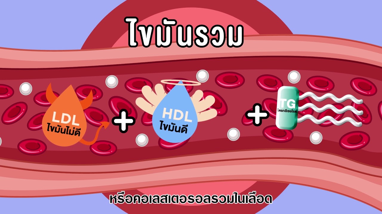 4 ไขมันในเลือด สำคัญต้องรู้! Cholesterol, Triglyceride, HDL, LDL
