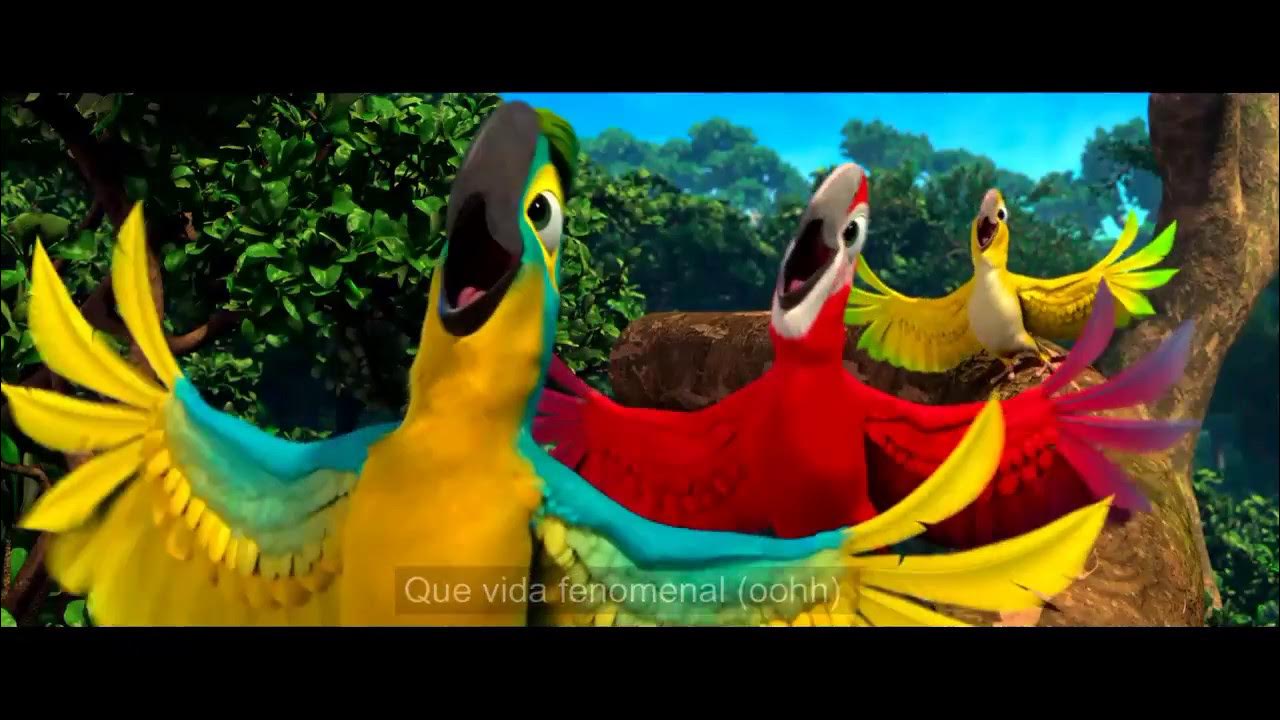 Favo de Mel / Real in Rio - Com letra - em HD - RIo Favo de Mel / Real in Rio - Com letra - em HD - RIo