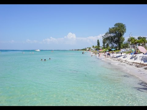 Vídeo: Quem é azul florida?