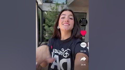 Hermit The Frog - Charli D’amelio New TikTok