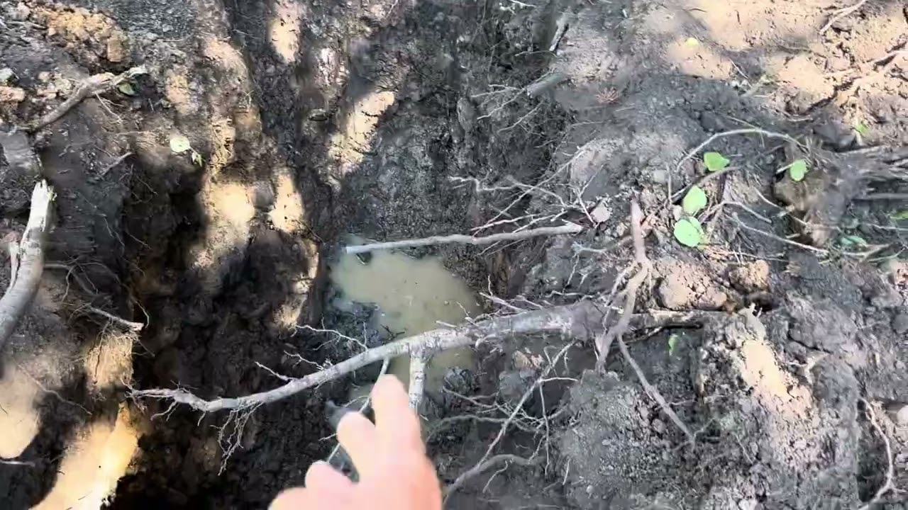 Keller Mountain - Skinner Canyon