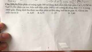 ID010719402