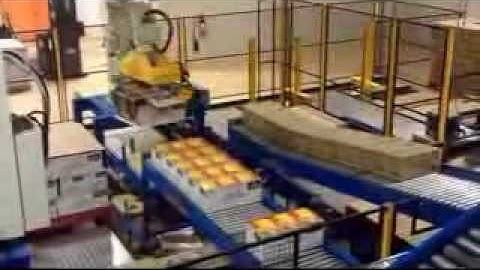 Carton Gripper for Open, Closed & Shoebox Top Cartons