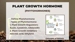 Phytohormones| Plant Growth Hormones and their Functions| Hindi/Urdu| Auxin, Cytokinin, Gibberellins