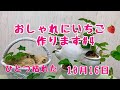 おしゃれにイチゴ作りますNo.4アイベリーがひとつ枯れた10月16日