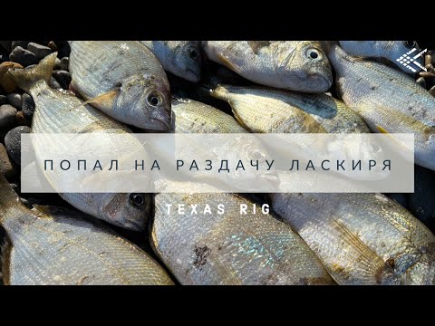 Видео: Техасская морская рыбалка