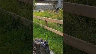 The Begode RACE overlooking the pedestrian bridge #begoderace #euc #electricunicycle