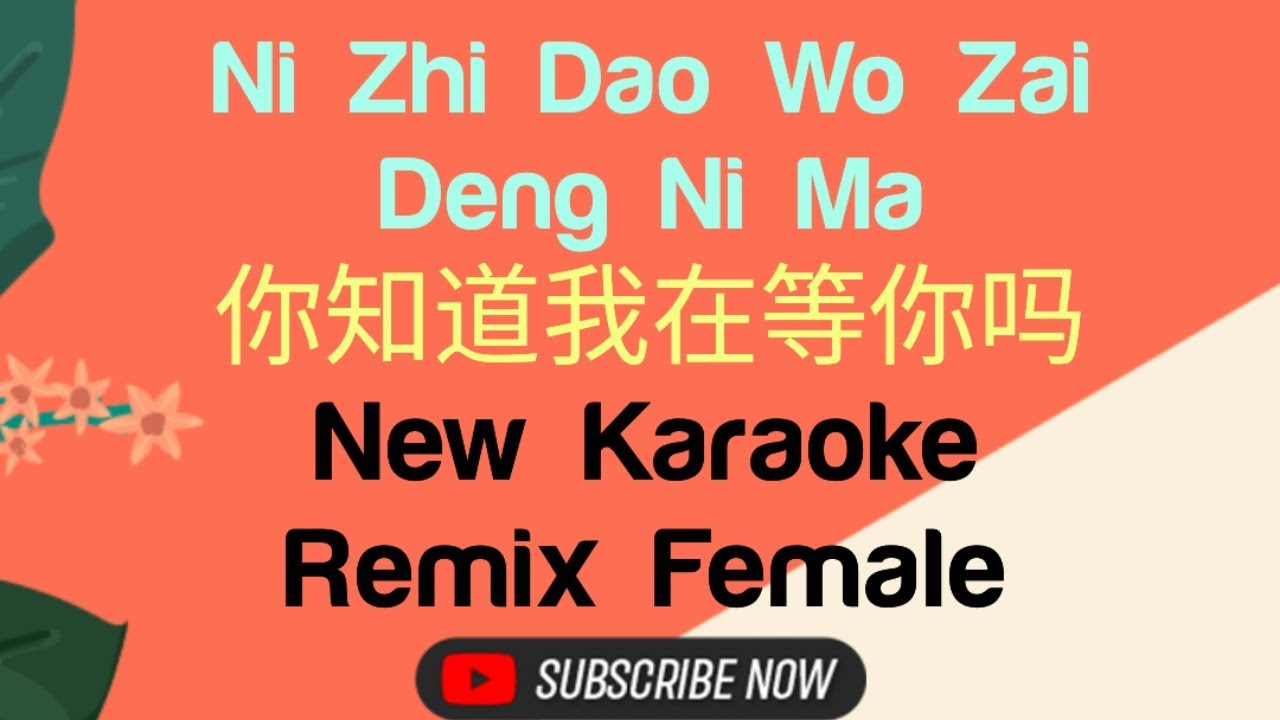 Ni Zhi Dao Wo Zai Deng Ni Ma Karaoke Female Dj House Mix 你知道我在等你吗 || New