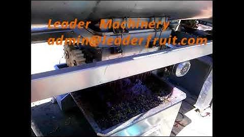 grape destemming and crushing machine/grape destemmer and crusher